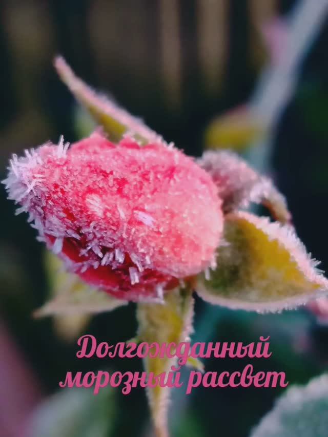 16 ноября . Замечательный рассвет.