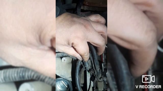 Чери Фора - троит