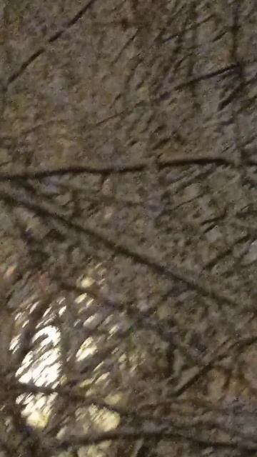 Ура! Снег выпал!