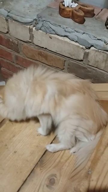 Умка😂😂😂😂