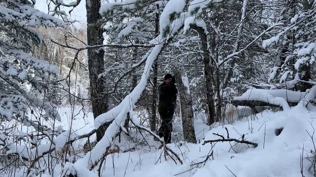Как не замёрзнуть в лесу зимой? Укрытие и костёр для выживания