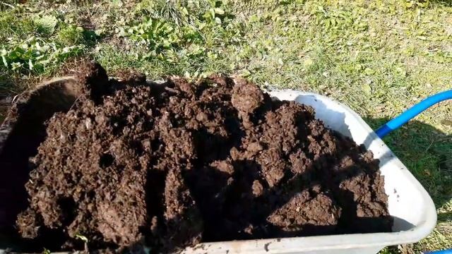 Продолжение осенних работ на огороде.