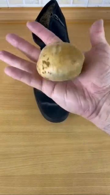 How to clean suede shoes