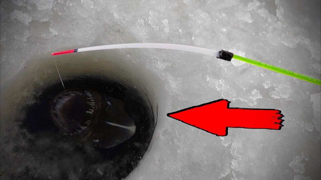 КРУПНОЕ ВЫШЛО ПО ПЕРВОМУ ЛЬДУ! Не думал поймать ТАКИХ МУТАНТОВ! Рыбалка 2025