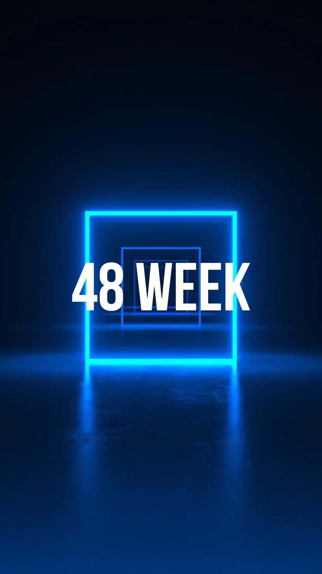 48 week /25