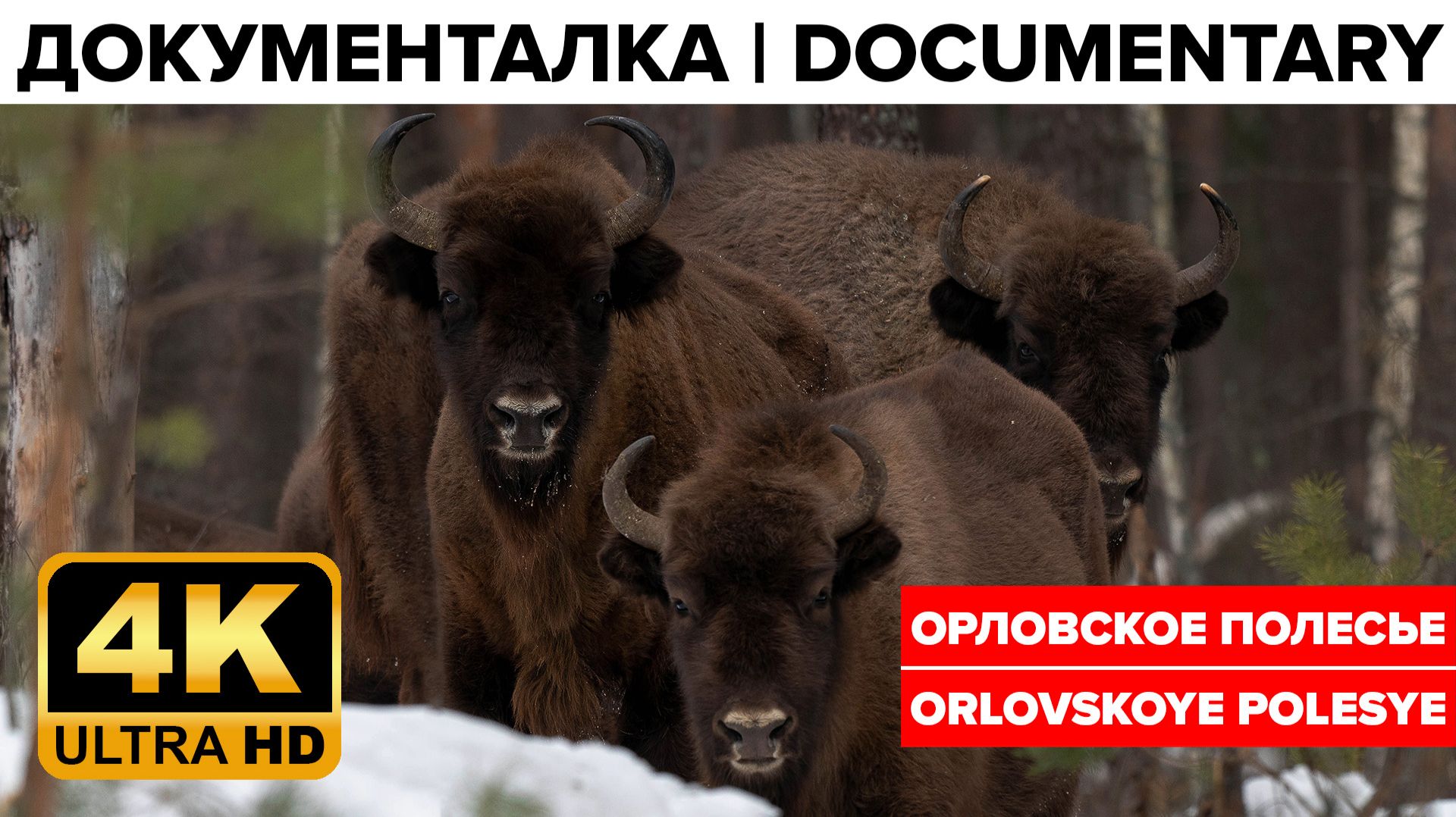 Орловское полесье