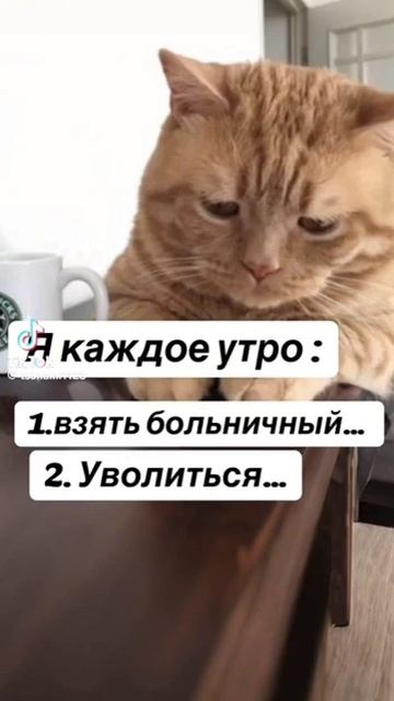 я каждое утро #shorts