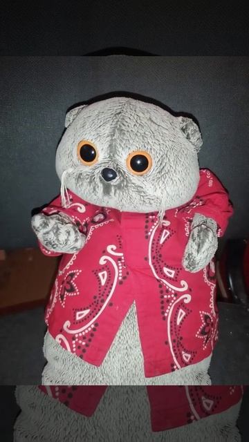 Басик кот есть