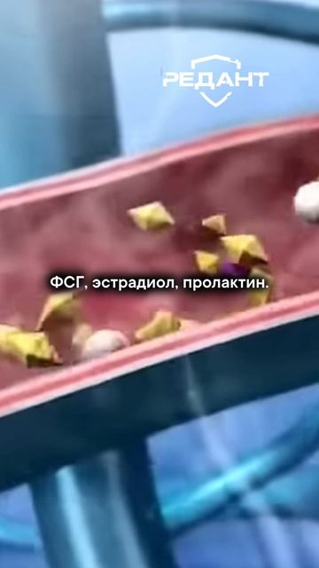 Если вы уже долго не можете зачать ребёнка — посмотрите это видео!