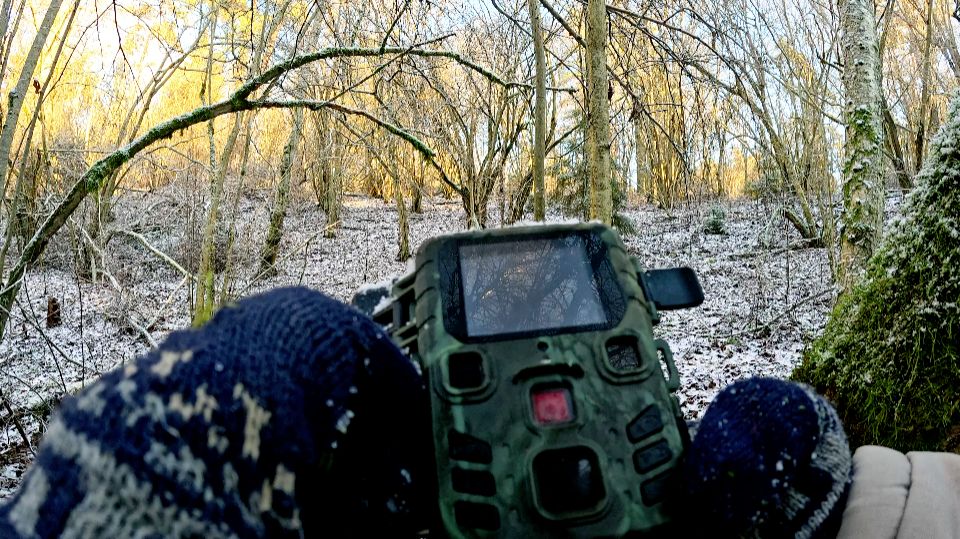 Прогулки по лесу. Снимаю фото ловушку. Последняя поездка в лес.