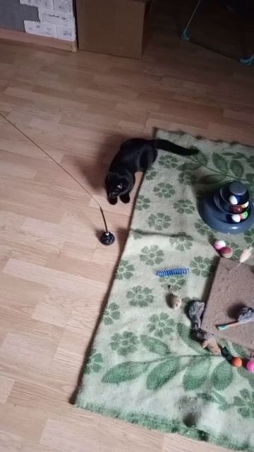 Хотят девочку назвать Пума. Игривая.