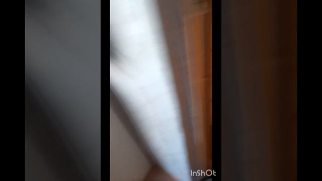 за что полиция хотет арестовать меня