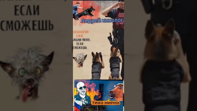 Разнос от Савелия