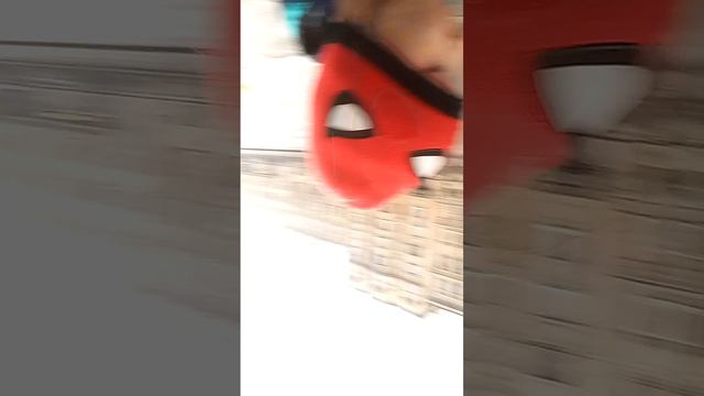 питерские выходные