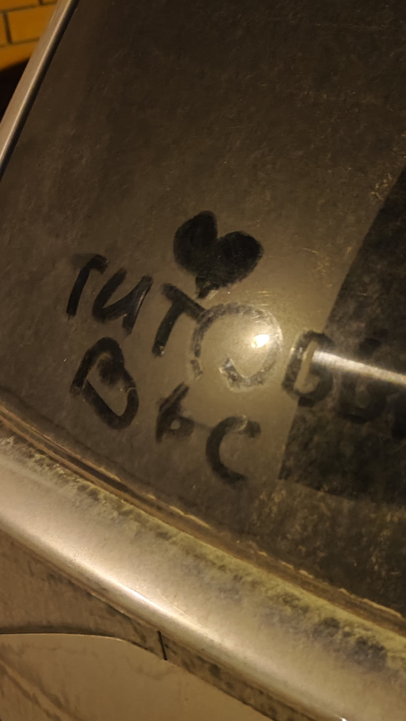 белый мишка