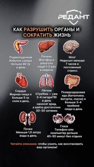КАК РАЗРУШИТЬ ОРГАНЫ