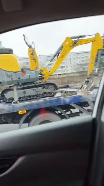 Только у меня на канале, невероятные существа! Вы когда-нибудь видели новорождённого экскаватора? 😁