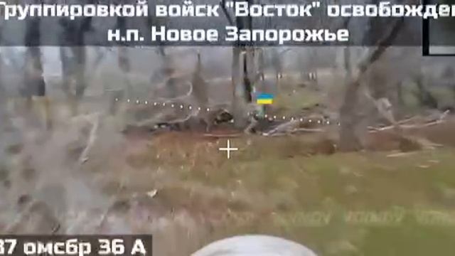 Освобождение населённого пункта Новое Запорожье.