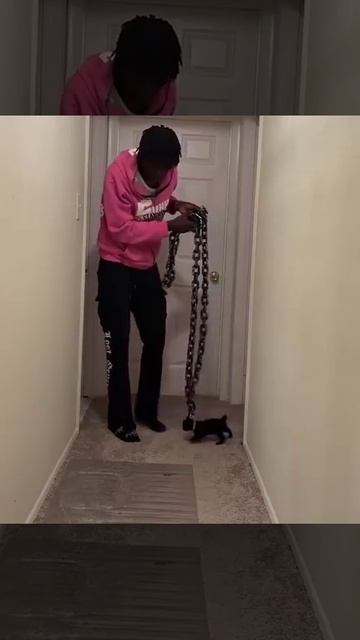 Тебе очень повезло, что он на цепи😈