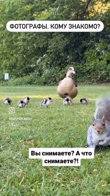 будни фотографа #shorts