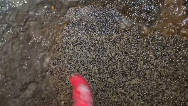 Д. Хлюпино. Донный фильтр из известковый камней , мутная вода. podkapaev.ru