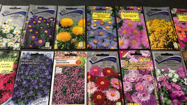 Обзор семян ЦВЕТУЩИХ МНОГОЛЕТНИКОВ.