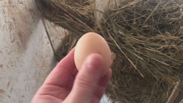 Погода радует.Работаем на участке.