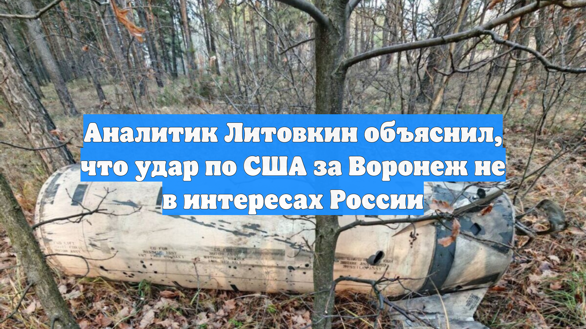 Аналитик Литовкин объяснил, что удар по США за Воронеж не в интересах России
