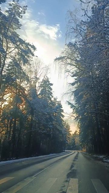 ❄Подмосковье ❄21.11.25❄