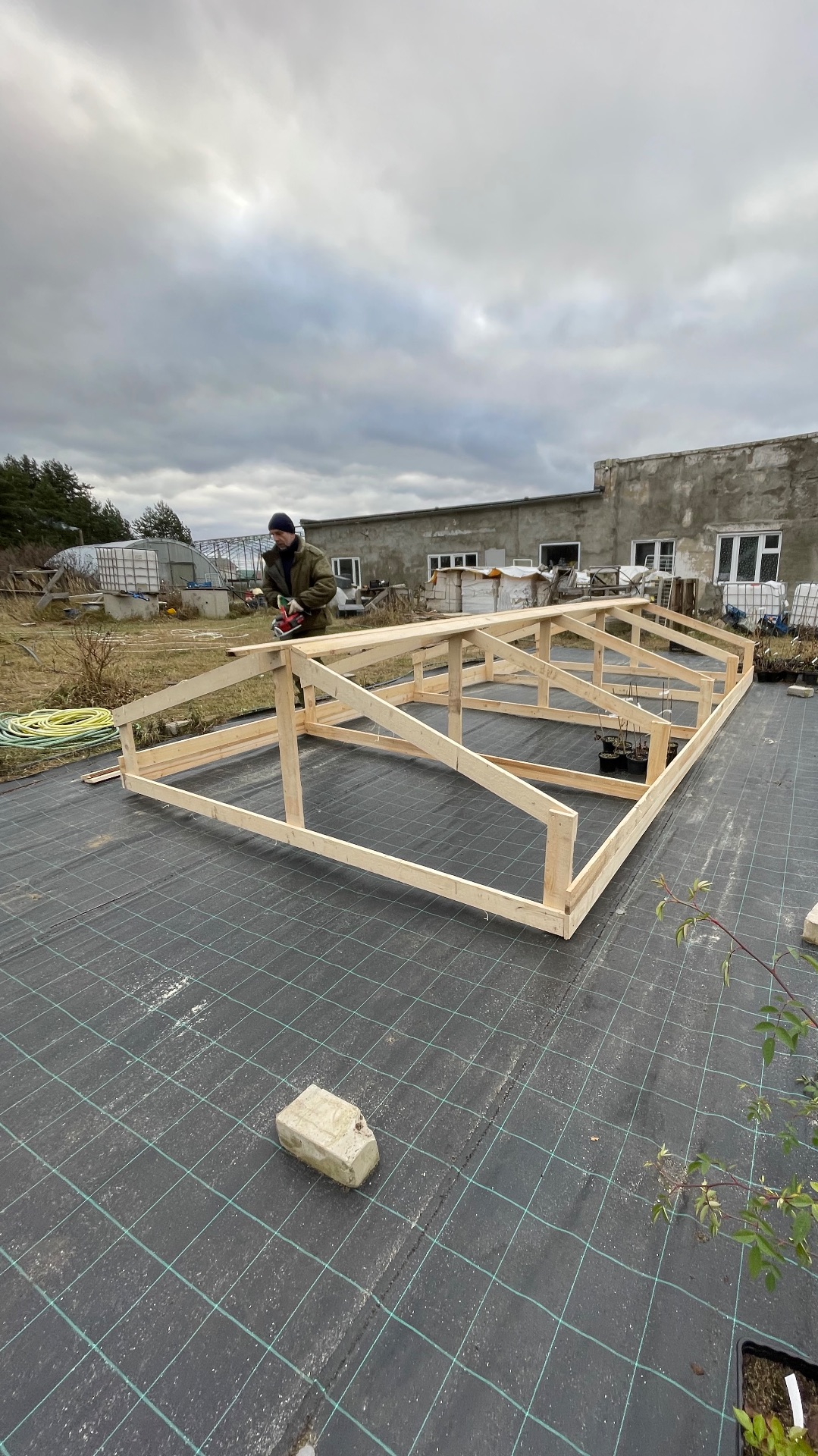 УКРЫТИК КЛЕМАТИСОВ В ГОРШКАХ НА ЗИМОВКУ