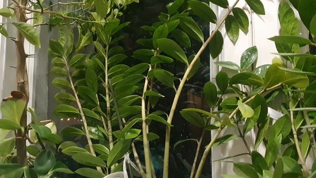 Мир справедлив...