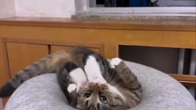 Каждый день я вступаю в борьбу с собой за себя лучшево и каждый раз проигрываю ету битву😰