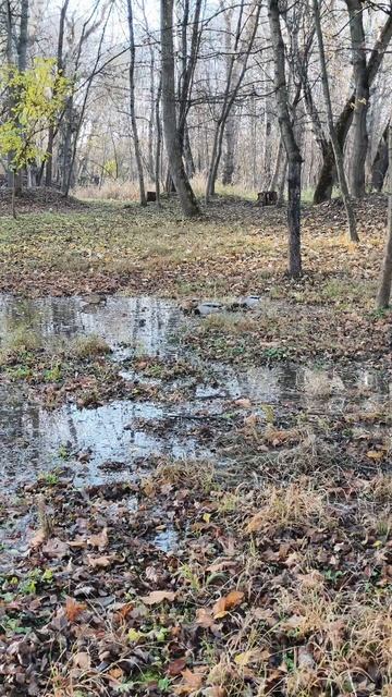 22.11.2025 #сегоднятак #природа #прырода #табиғ #自然 #natureza #natura #자연 #طبيعة #प्रकृति #nature