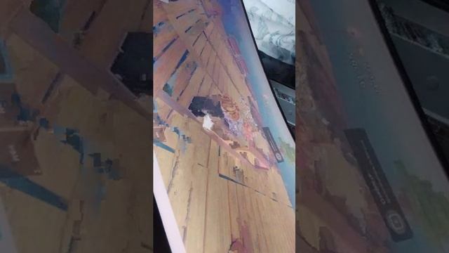 50 ДНЕЙ НА плоту 6