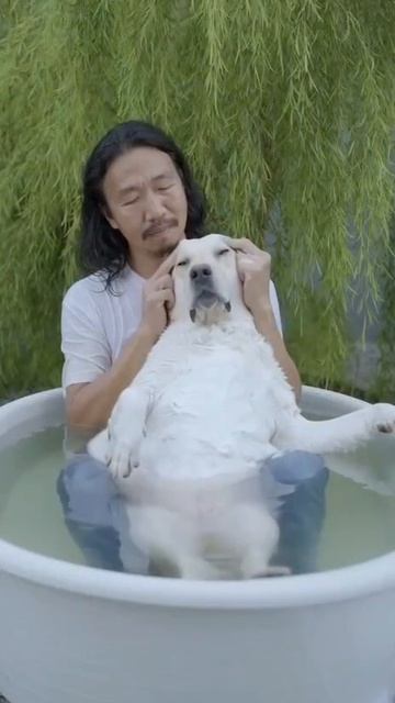 суббота: отдыхаем, наслаждаемся #shorts