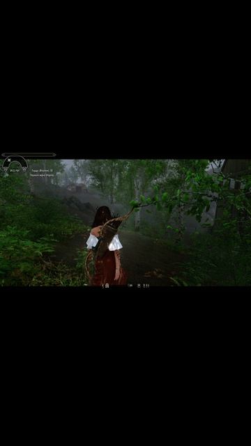 #Skyrim анимация женской походки!