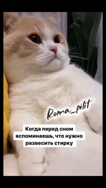 #вспомнил #юмор #смех #жиза