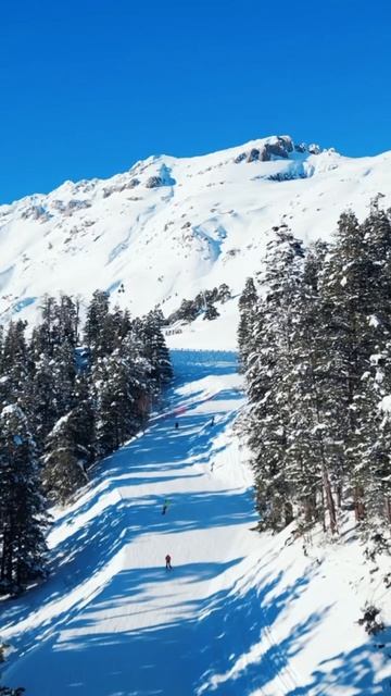 Есть в АРХЫЗЕ особая магия. Здесь забываешь о суете и просто дышишь полной грудью