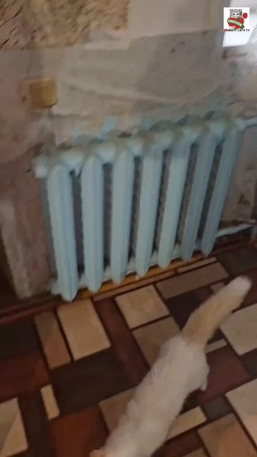 Настюня-королева красоты и атлетики заняла первое место 🥇 и подарила своим Любимым Зрителям цветы💐