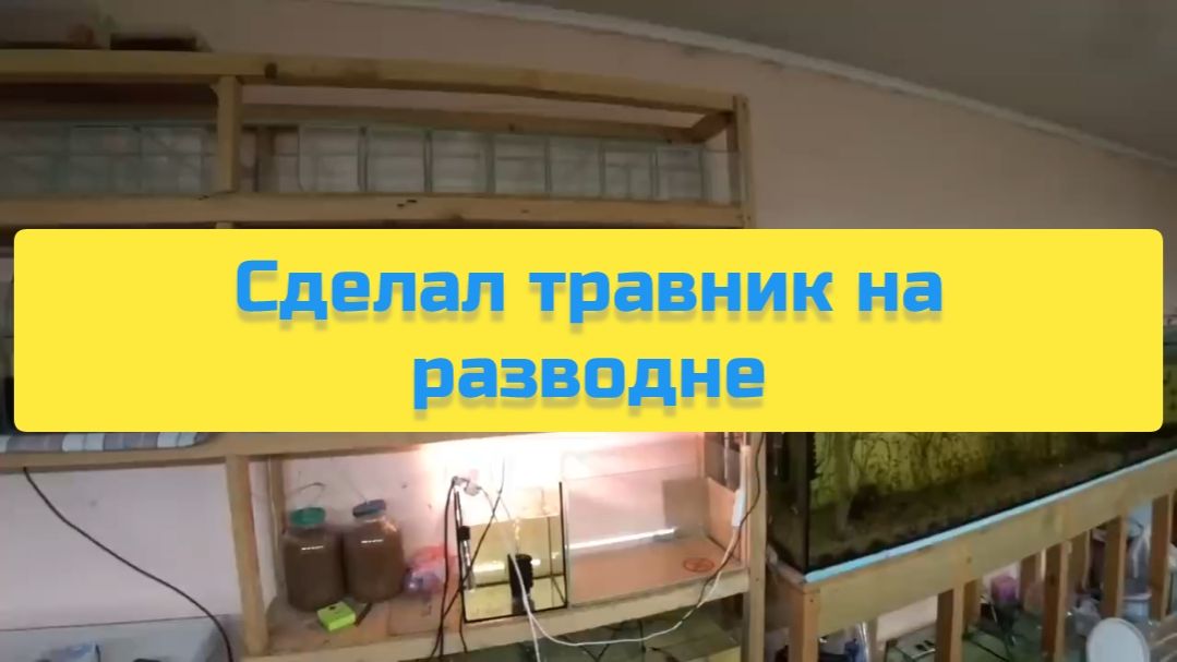 СДЕЛАЛ ТРАВНИК НА РАЗВОДНЕ