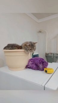 не много о себе