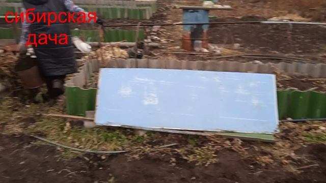 26.10.12.42. Сибирская дача.Все бабы как бабы.00.25