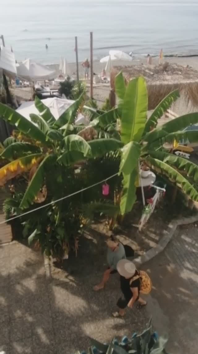 21 ноября +26°,море +23°. ТУРЦИЯ 2025. #türkiye2025 #alanya #mahmutlar