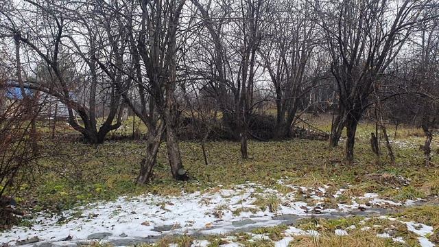 Поздняя осень...