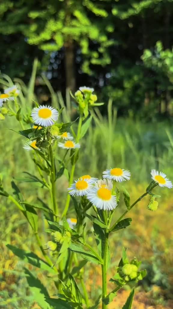 2025-11-22T00:46:38.519Z