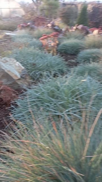 Закат. Октябрь 2025