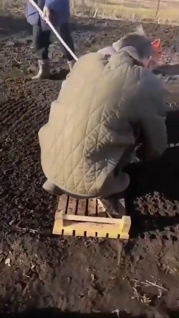 Почему бы не применить этот простой и полезный дачный совет.