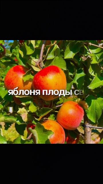 Река для себя не течет