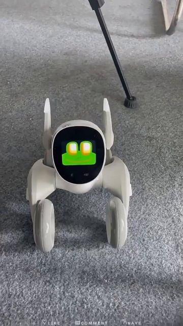 VID_20251123_184356_527