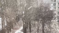 Снежок идёт 🌨️🌧️❄️🌲